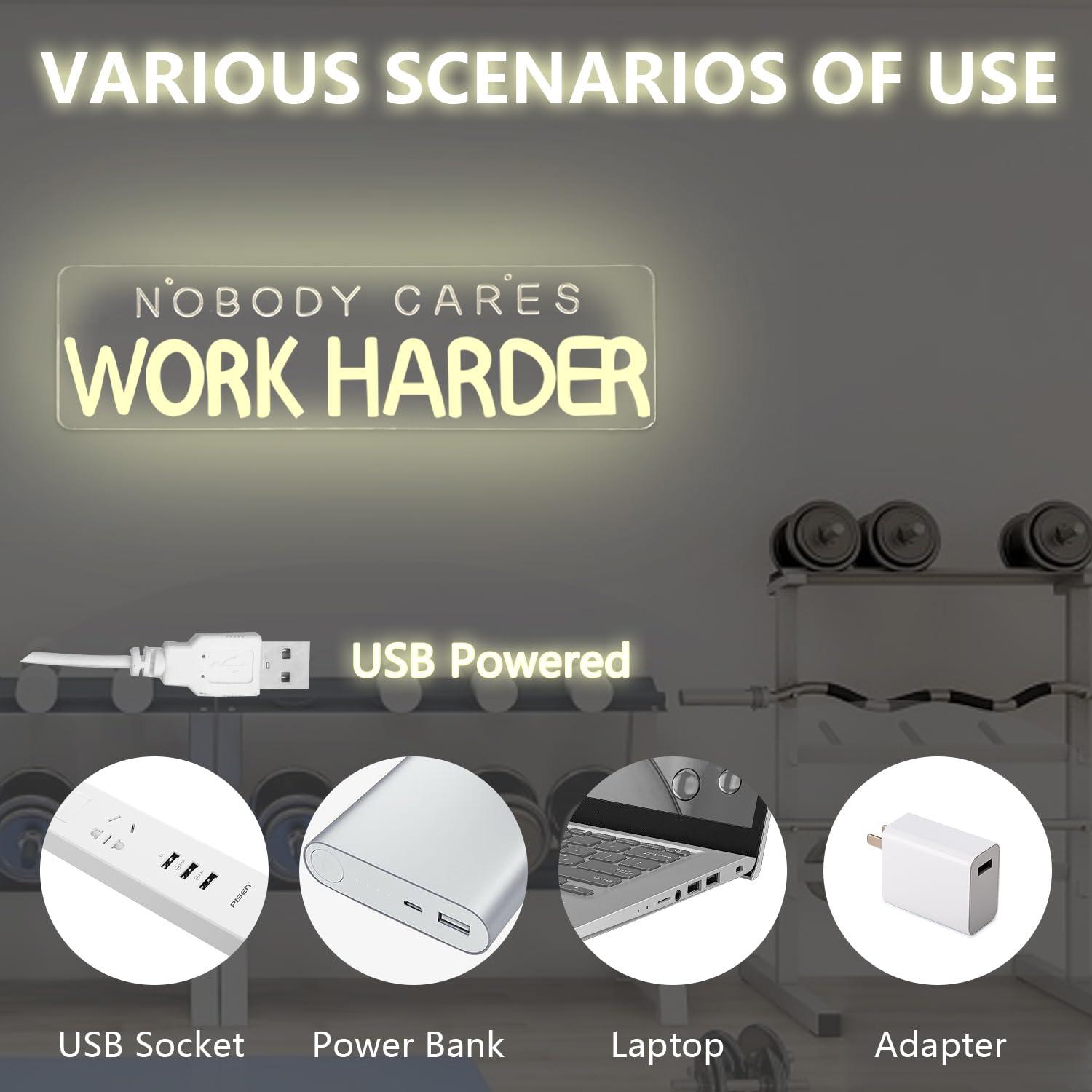 Panneau lumineux LED « Nobody  - Home Gym Neon Sign avis et prix
