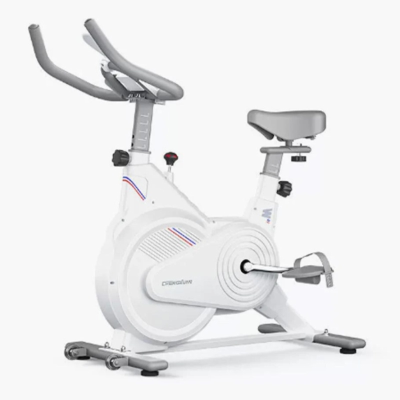 Vélo de spinning d'intérieur,  - Home Gym Routine avis et prix
