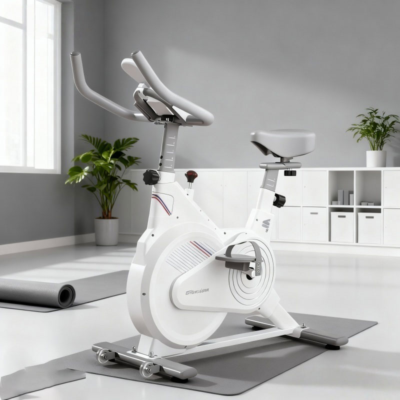 Vélo de spinning d'intérieur,  - Home Gym Routine avis et prix